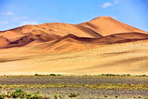 Red dunes in the namib naukluft national park near sossuvlei — Stock Photo, Image