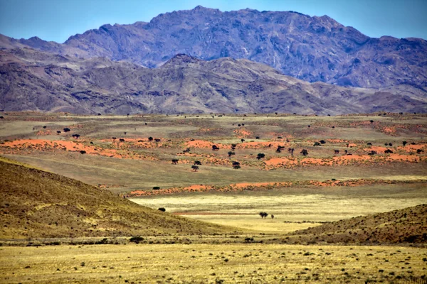 Rezerwat przyrody namibrand w Narodowy namib naukluft park af Namibii — Zdjęcie stockowe