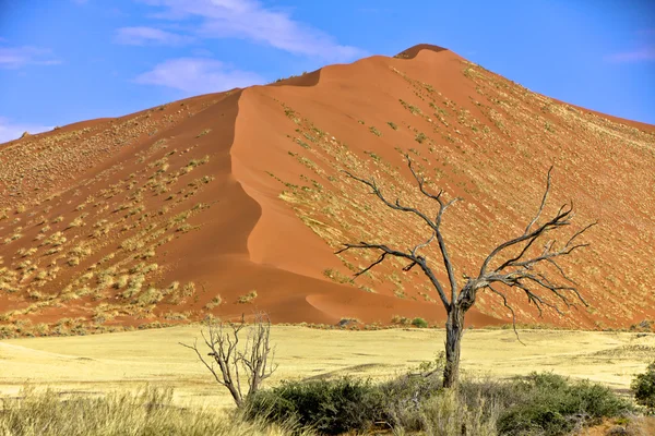 Ampla duna em Sossusvlei namib naukluft park namibia áfrica — Fotografia de Stock