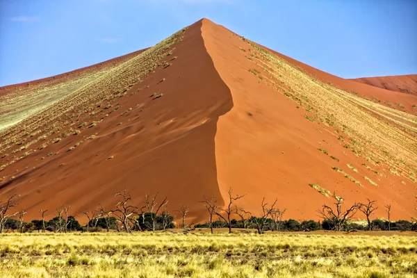 Sossusvlei 나 naukluft 공원 나미비아 아프리카에서 광대 한 주황색 모래 언덕 — 스톡 사진