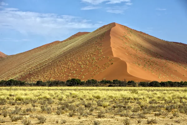 Vasta duna arancione a Sossusvlei namib naukluft park namibia — Foto Stock