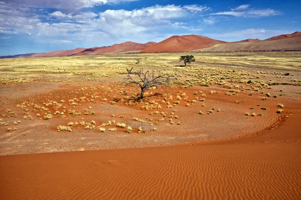 Vista da une 45 perto de sossusvlei namibia áfrica — Fotografia de Stock