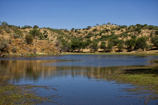 Waterhole em daan viljoen parque de jogos namibia áfrica — Fotografia de Stock