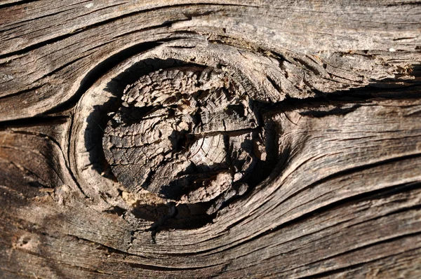Старий дерев'яний фон з вузлом — стокове фото