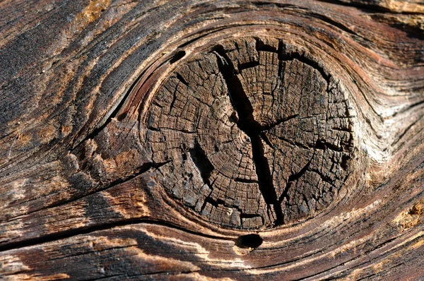Fundo de madeira velha com nó — Fotografia de Stock