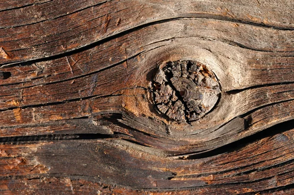 Antiguo fondo de madera con nudo — Foto de Stock