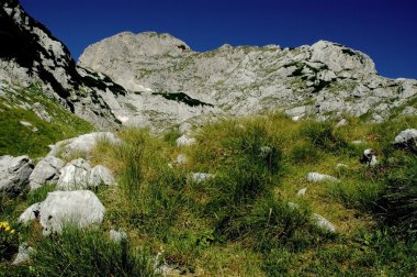 Durmitor Milli Parkı, Karadağ