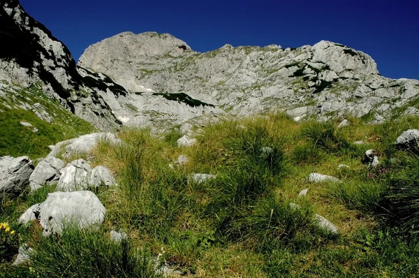Durmitor nationalpark, montenegro — Stockfoto