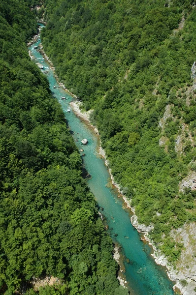 Tara kanyon, Montenegró — Stock Fotó