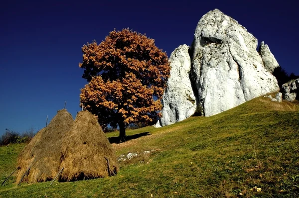 Prado com palheiros e rochas brancas — Fotografia de Stock