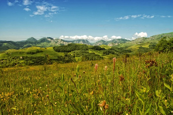 Tájkép zöld fűvel és kék égbolttal — Stock Fotó