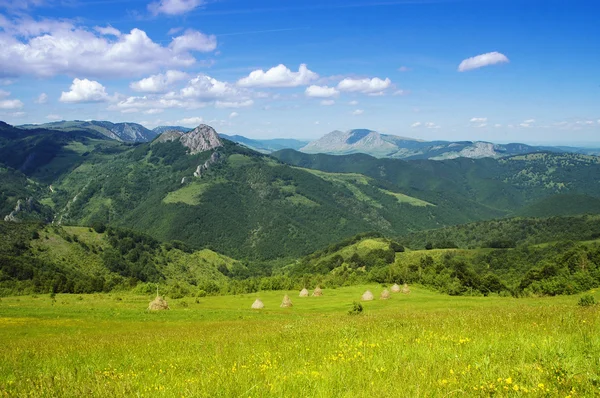 Krajina se zelenou trávou a modrou oblohou — Stock fotografie