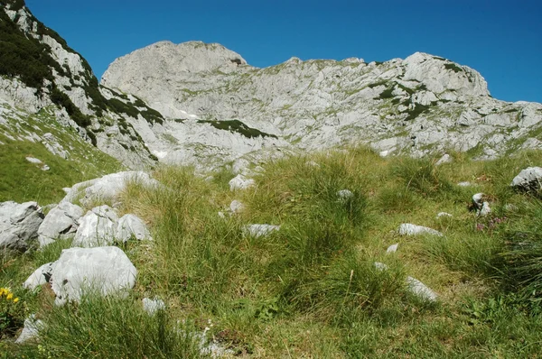 Parque Nacional de Durmitor, Montenegro — Foto de Stock