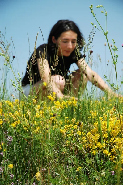 Güzel bir çayırda genç seksi bir kadın portresi — Stok fotoğraf