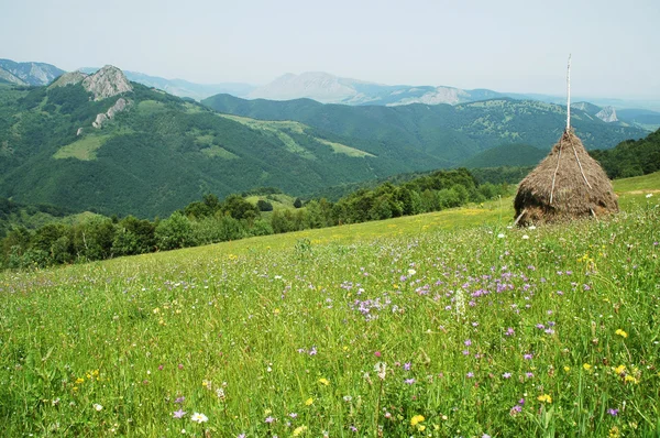 Landschaft mit grünem Gras und Heuhaufen — Stockfoto