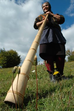 Old woman playing on alpenhorn clipart