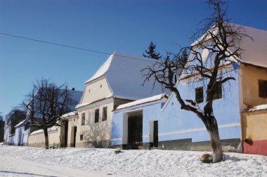 Sakson evler viscri, Transilvanya, Romanya.