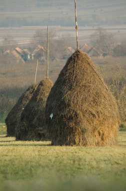 Haystacks clipart