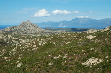 Desert of Agriates, Corsica clipart