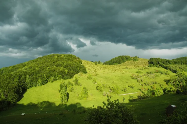 Yeşil otlar ile güzel dağ çayır — Stok fotoğraf
