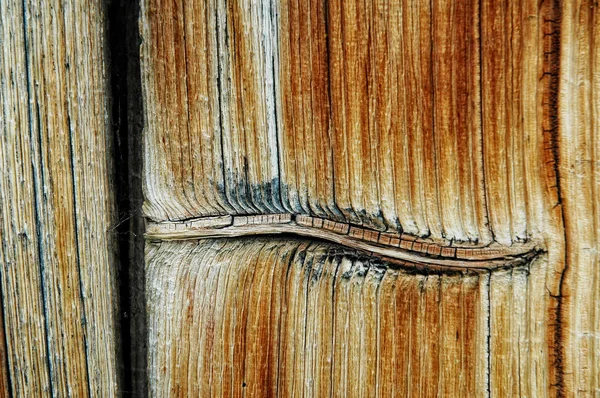 Vista de cerca de textura de madera granulada con nudo — Foto de Stock