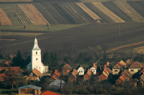 Vista da aldeia de Coltesti no meio de um campo. Transilvânia — Fotografia de Stock