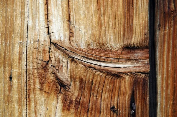 Крупный план зернистой деревянной текстуры с узлом — стоковое фото