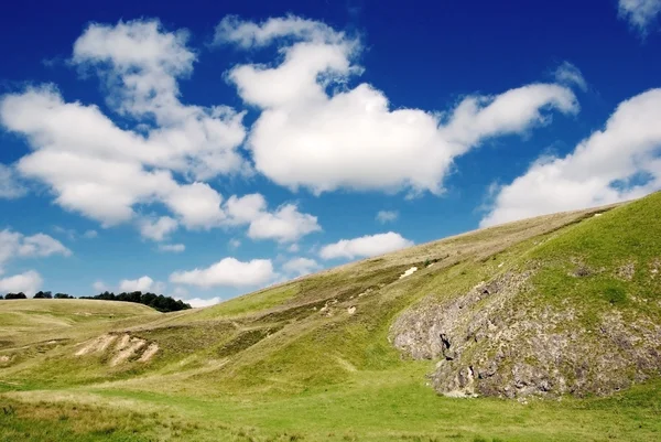 Красивый альпийский луг с зеленой травой — стоковое фото