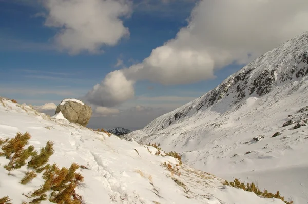 Zimowy krajobraz w górach retezat — Zdjęcie stockowe