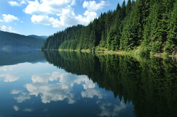 Reflexões em um lago — Fotografia de Stock
