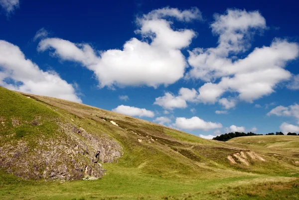 Frumoasa lunca alpina cu iarba verde — Fotografie, imagine de stoc