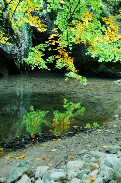 Su yansıma sonbahar yaprakları — Stok fotoğraf