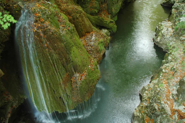Forest stream kör över mossiga stenar — Stockfoto