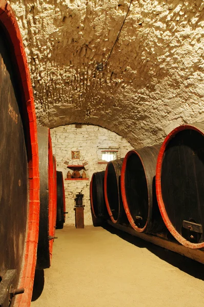 Barrels in a wine-cellar. Transylvania, Romania — Stock Photo, Image
