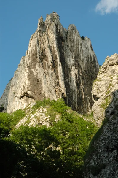 turzii gorges yılında beyaz kayalıklarla. Transilvanya, Romanya