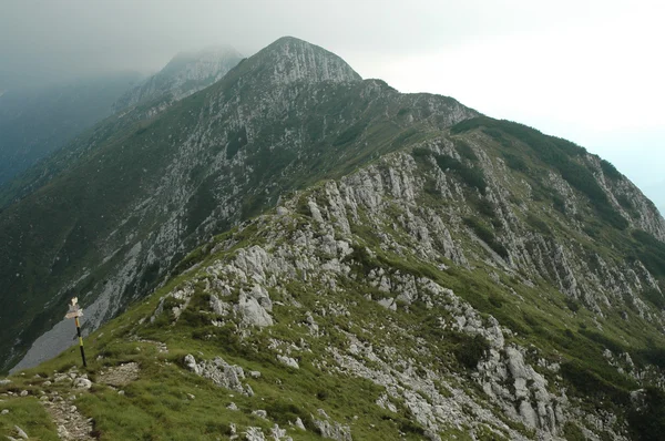 Ridge van piatra craiului mountains, Roemenië — Stockfoto