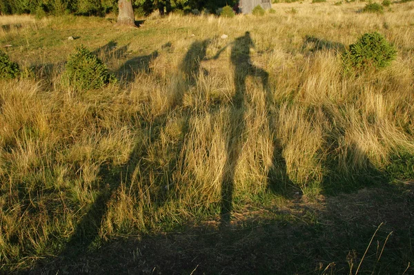 Тень туриста на траве — стоковое фото