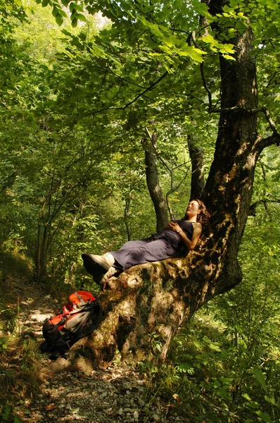 Menina descansando no tronco de uma árvore — Fotografia de Stock