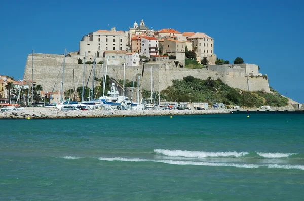 Fästningen i calvi, Korsika — Stockfoto