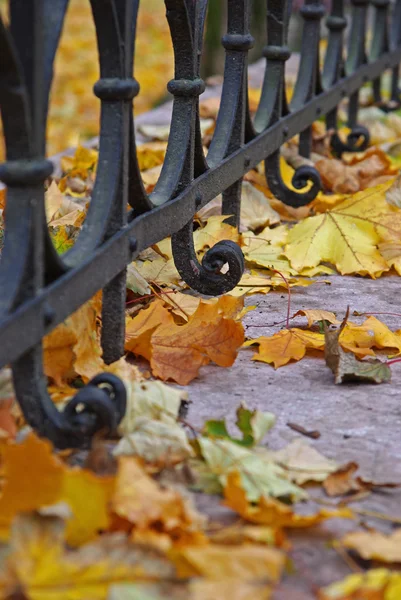 Autumn landscape with a fence — Stock Photo, Image