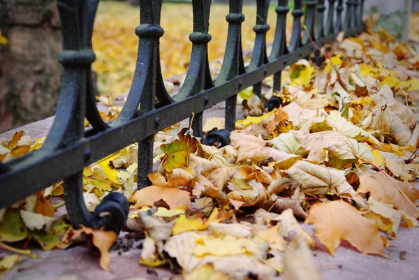 フェンスのある秋の風景 — ストック写真