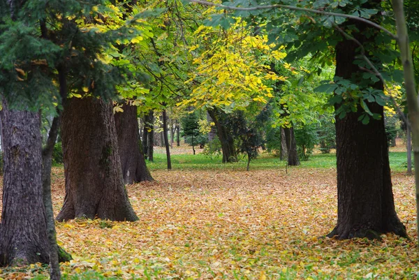 Beautiful quiet park in autumnal colors — Stock Photo, Image