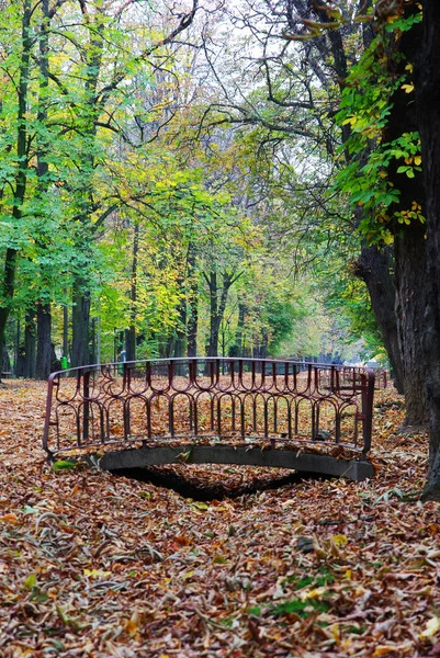 Small foot bridge in a park with Autumn colors — Stock Photo, Image