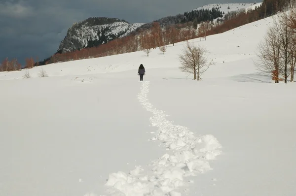 Winter-Trekking-Mädchen — Stockfoto