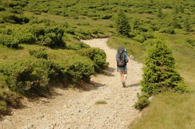 Yalnız trekker kadar ardıç yolda bir tırmanma