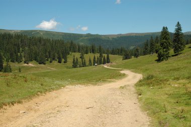 dolambaçlı bir dağ artan toprak lane