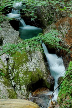 Beautiful waterfall with fresh water clipart