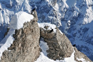 dolomities, dolomiti - İtalya kışın kayak tesisi