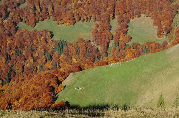 Hösten i Oscar berg, Rumänien — Stockfoto