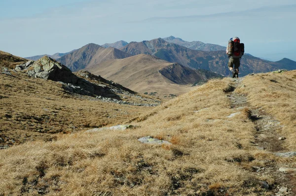 Osamělý muž Treking v horách rodnei, Rumunsko — Stock fotografie